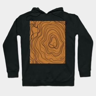 Brown  Abstract Topography  Aesthetic  Pattern Hoodie